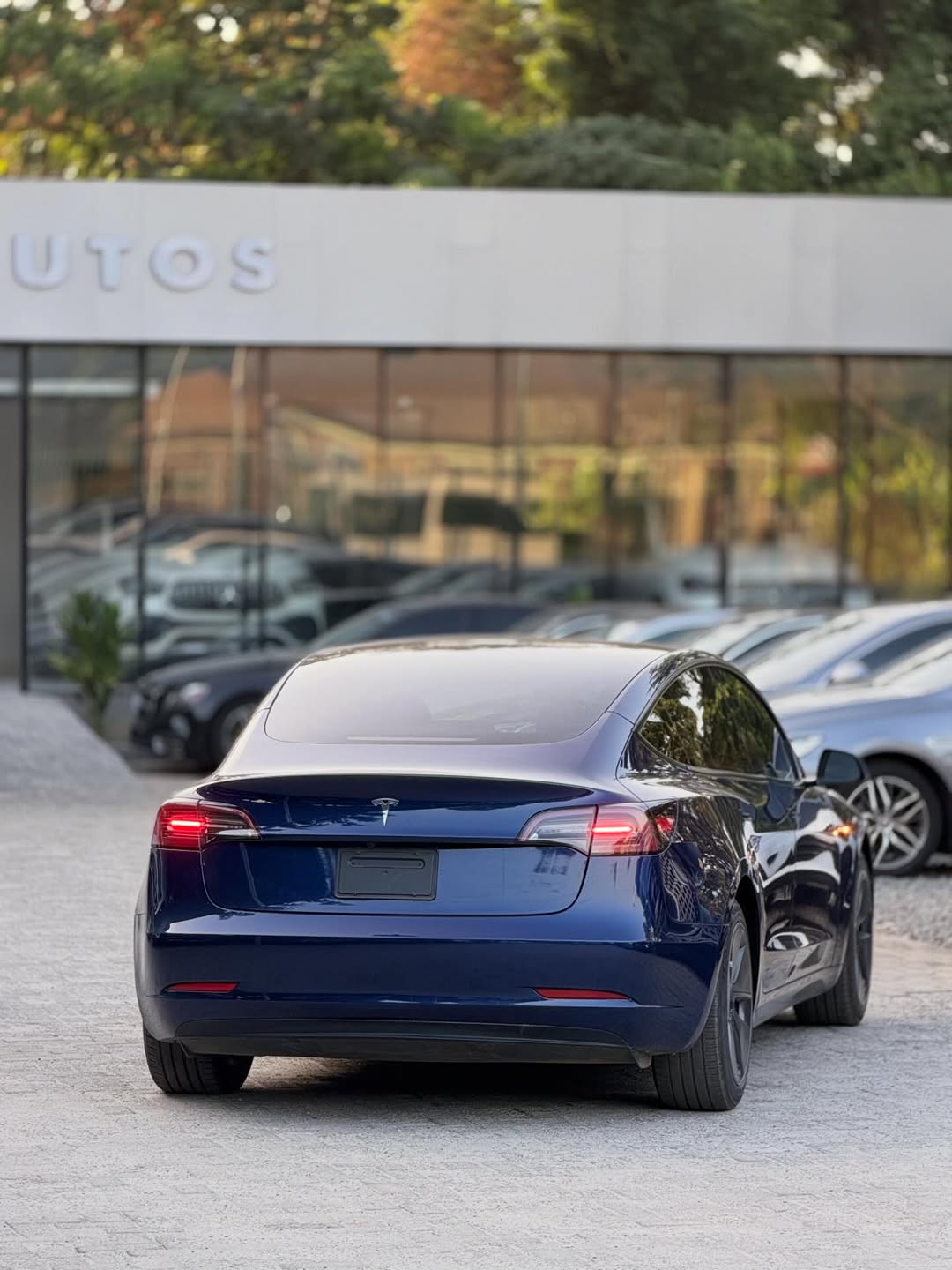 
								TESLA MODEL 3 2023 MODEL full									