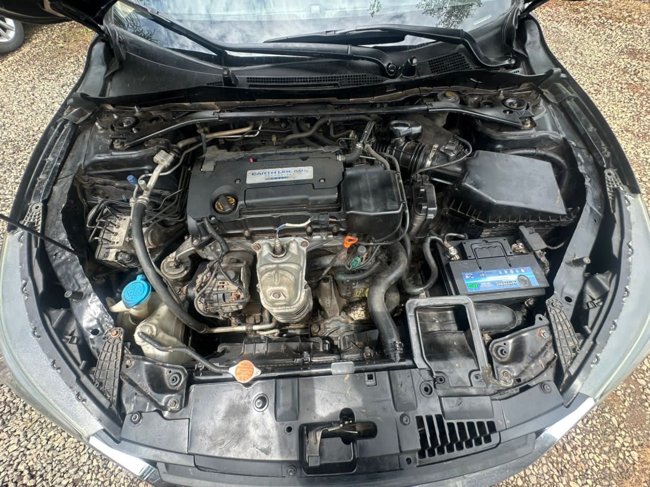 
								Giveaway Deal‼️‼️‼️ Foreign Used 2014 Honda Accord EXL with Original 2026 Custom Duty (Keyless, Double Screen & Sunroof) going for just 13.9M Net with me (Moveable) owners house Abuja📍 ZERO CHAIN DEAL full									