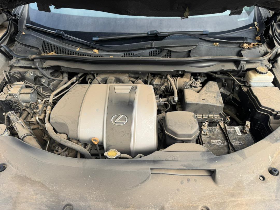 
								Price review ‼️‼️‼️‼️‼️‼️‼️‼️‼️Foreign used 2017 RX350 F-sport   With original custom duty  Clean black on red interior  Sun roof Thumb start  360 camera  Mouse control  Low mileage  Going for 65m now 43m  Dm before you hear sold  Abuja deal full									