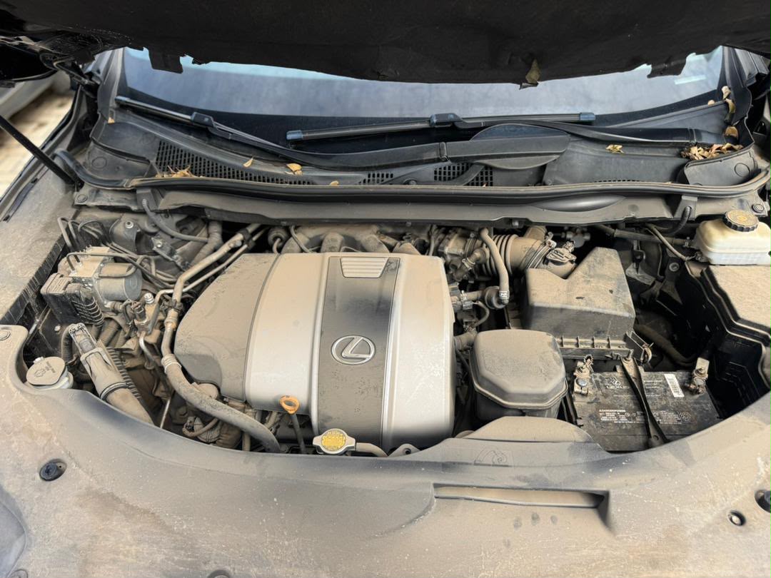 
								Price review ‼️‼️‼️‼️‼️‼️‼️‼️‼️Foreign used 2017 RX350 F-sport   With original custom duty  Clean black on red interior  Sun roof Thumb start  360 camera  Mouse control  Low mileage  Going for 65m now 43m  Dm before you hear sold  Abuja deal full									
