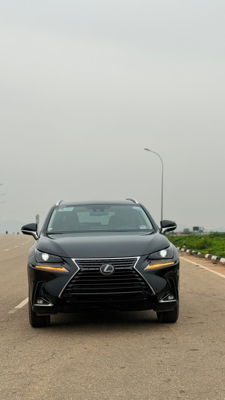 BELGIUM GRADE 2020 LEXUS NX300 WITH PUSH TO START REVERSE CAMERA UNTEMPERED SYSTEM AND VERIFIED DOCUMENT VALID FOR 45  MILLION NAIRA ONLY